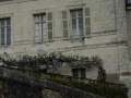 P1000365