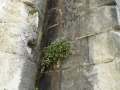 P1000374