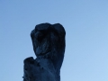 P1040196