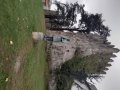 IMG_20221018_175244