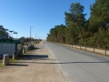 P1010856