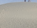 PXL_20241019_163600053
