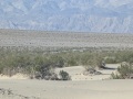 PXL_20241019_165349269
