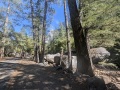 PXL_20241020_201621909