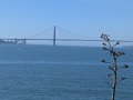PXL_20241023_193646442