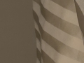 20251015_175203